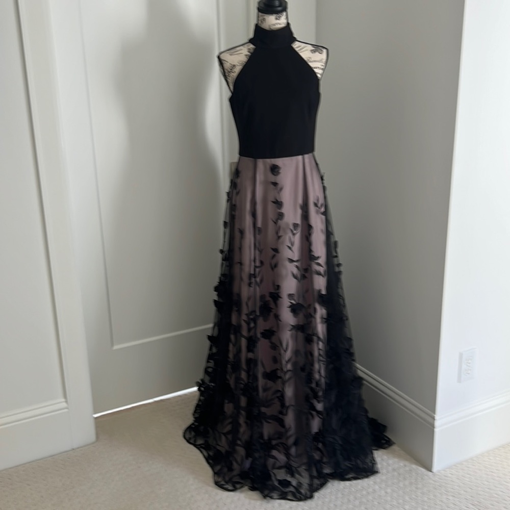 Stunning Ladies Evening Dress